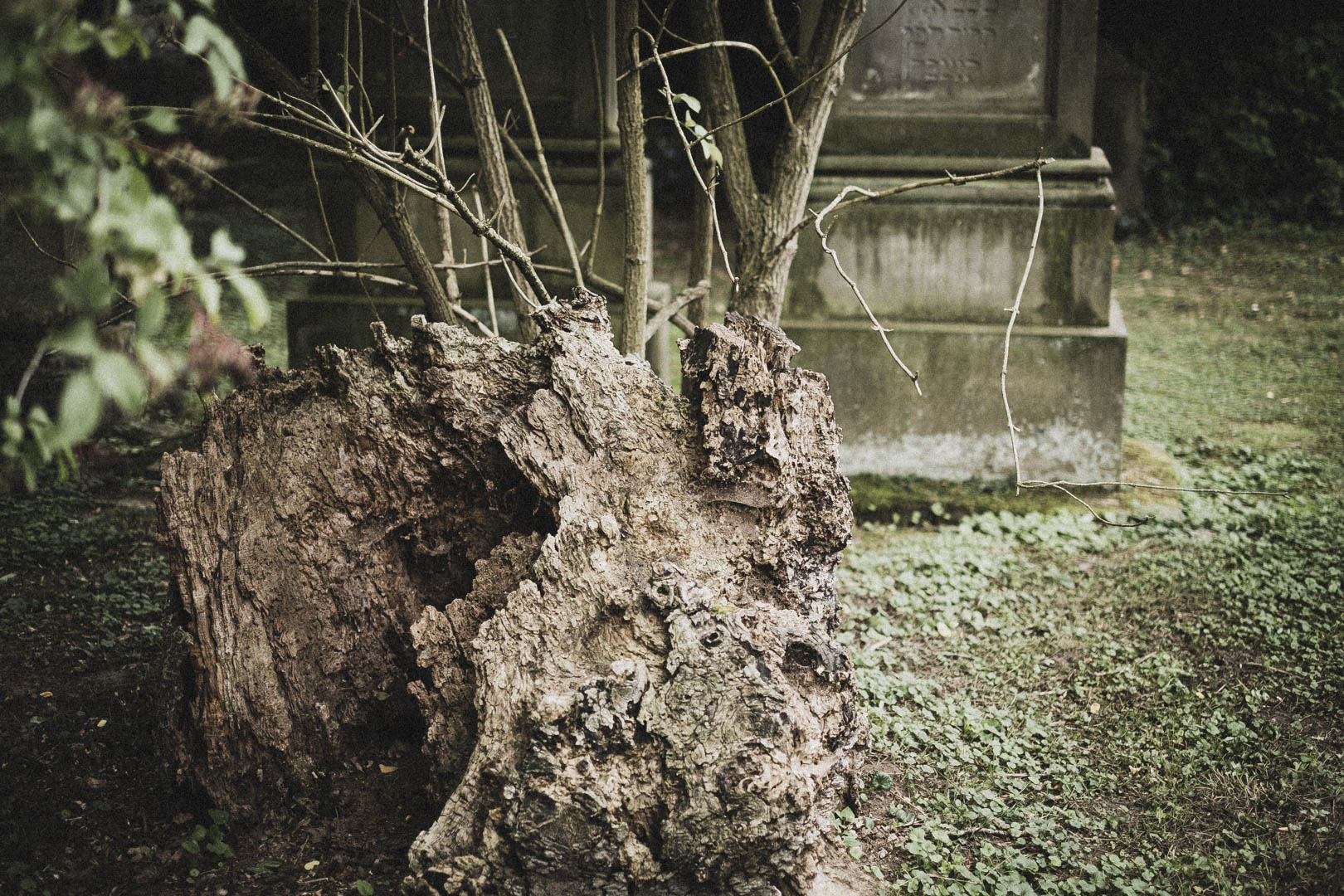 Rinteln, Jüdischer Friehof